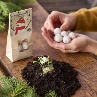 Die Stadtgärtner Schneemannbäuche – 8...