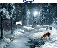 Coppenrath Zettel-Adventskalender „Liegt nun so...