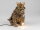 Tischlampe Bulldogge mit Krone 32 cm &ndash; antikgold