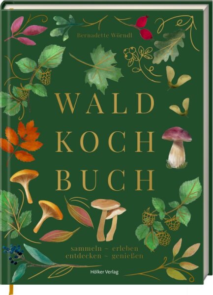 H&ouml;lker Verlag &bdquo;Das Wald-Kochbuch&ldquo; &ndash; sammeln, erleben, entdecken, genie&szlig;en